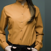 Camisa mujer manga larga con cuello mao y pinzas